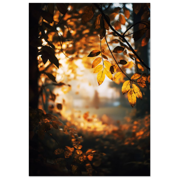 5e995185-9fd0-47ad-9c97-981b4d712d78