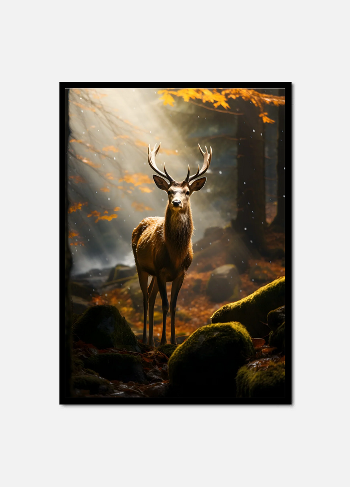 Autumn Dear