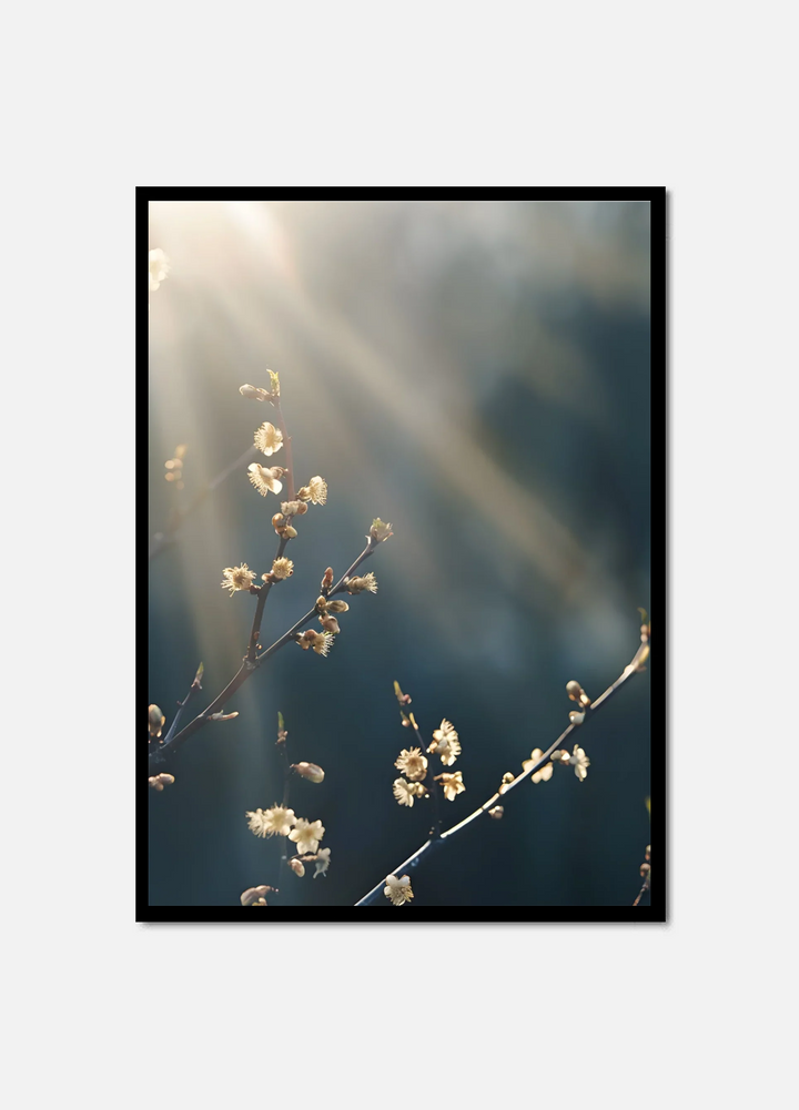 Autumn Rays