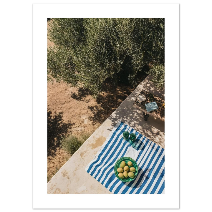 Under the Olive Trees