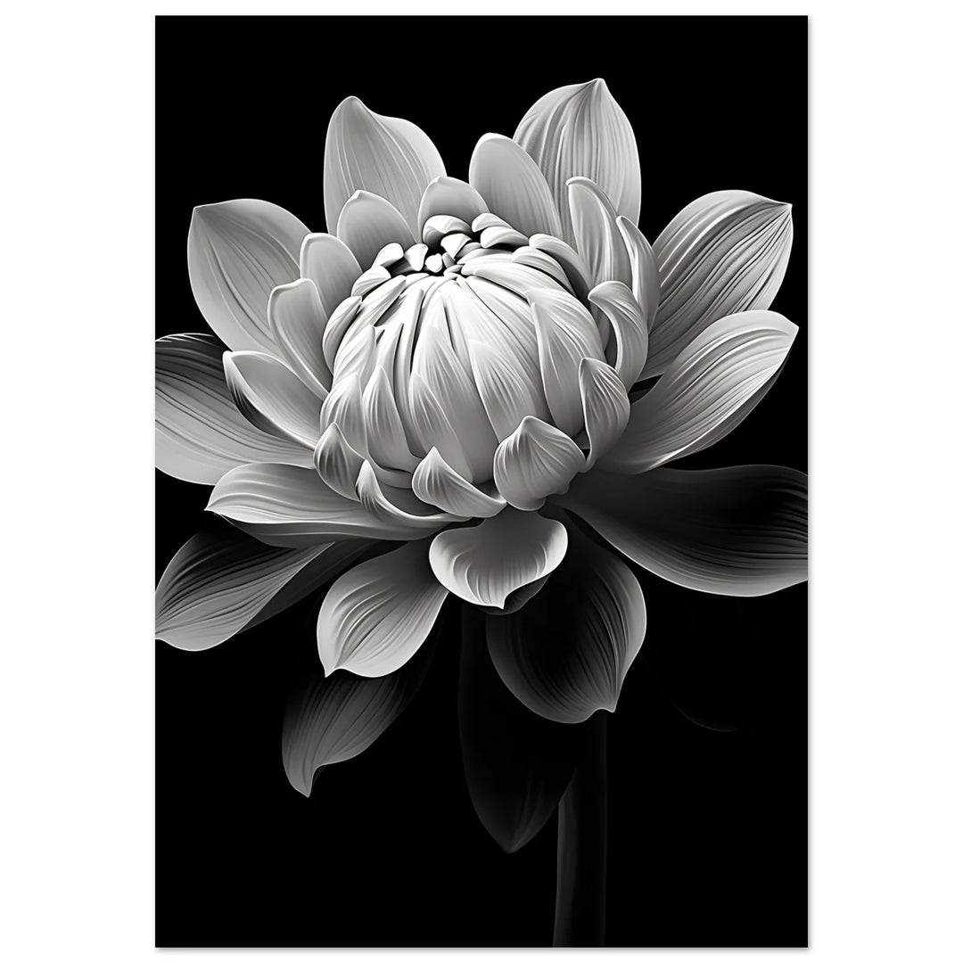 Botanical Beauty