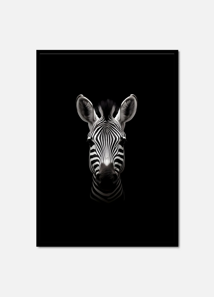 Black Velvet Zebra