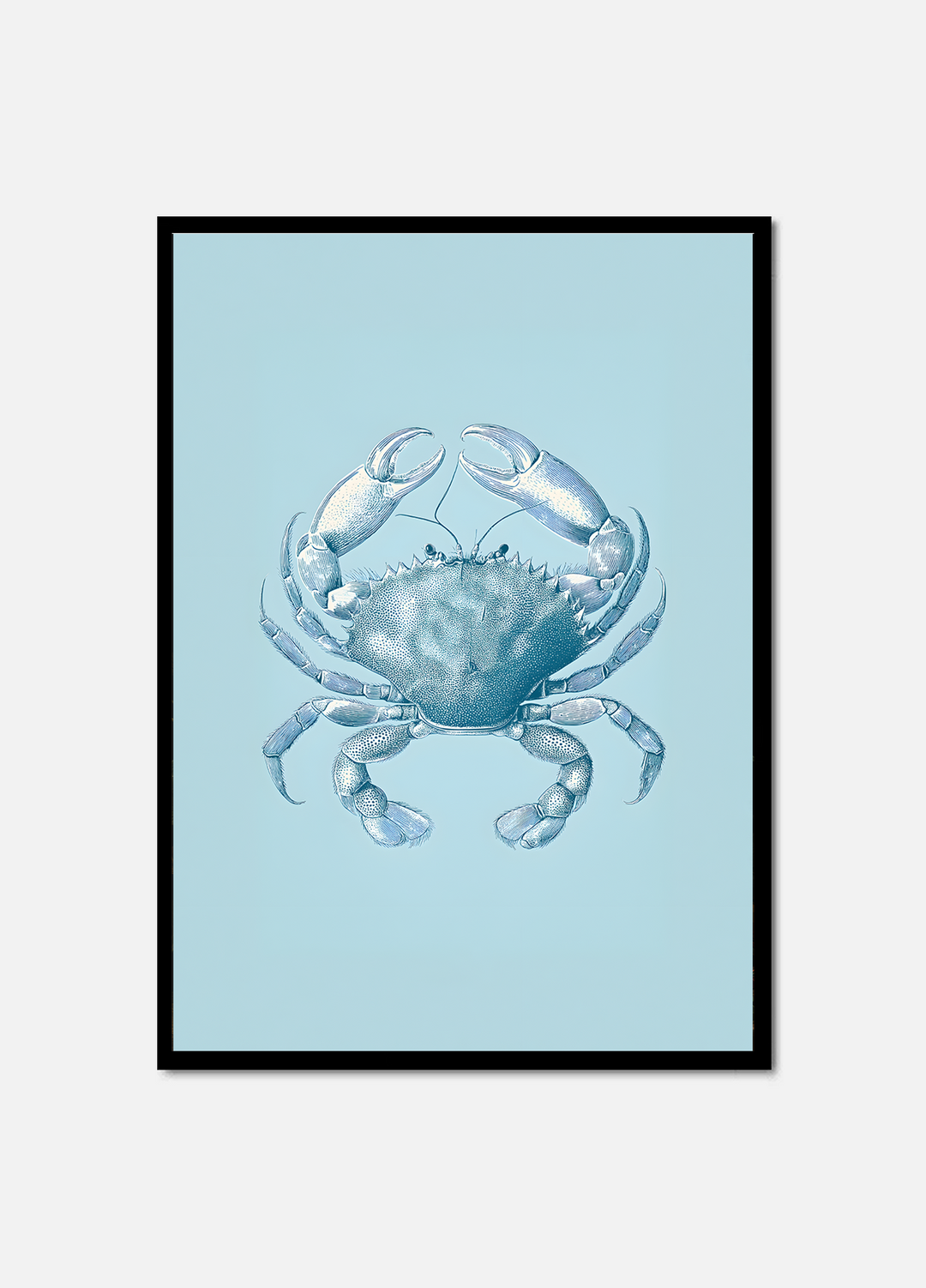 Crab & Calm