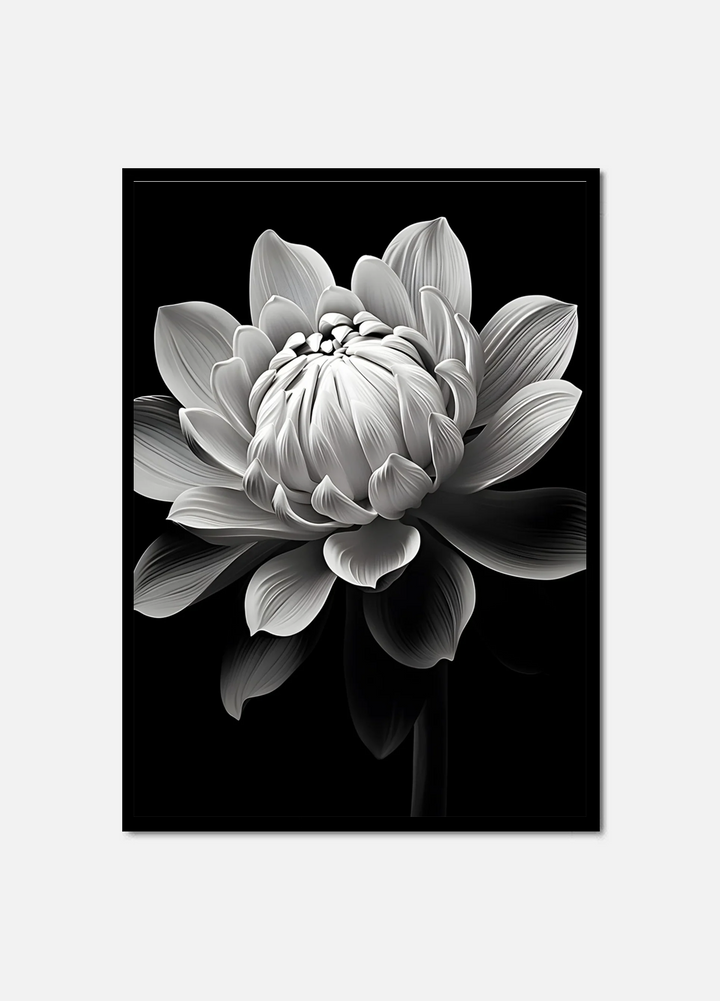 Botanical Beauty