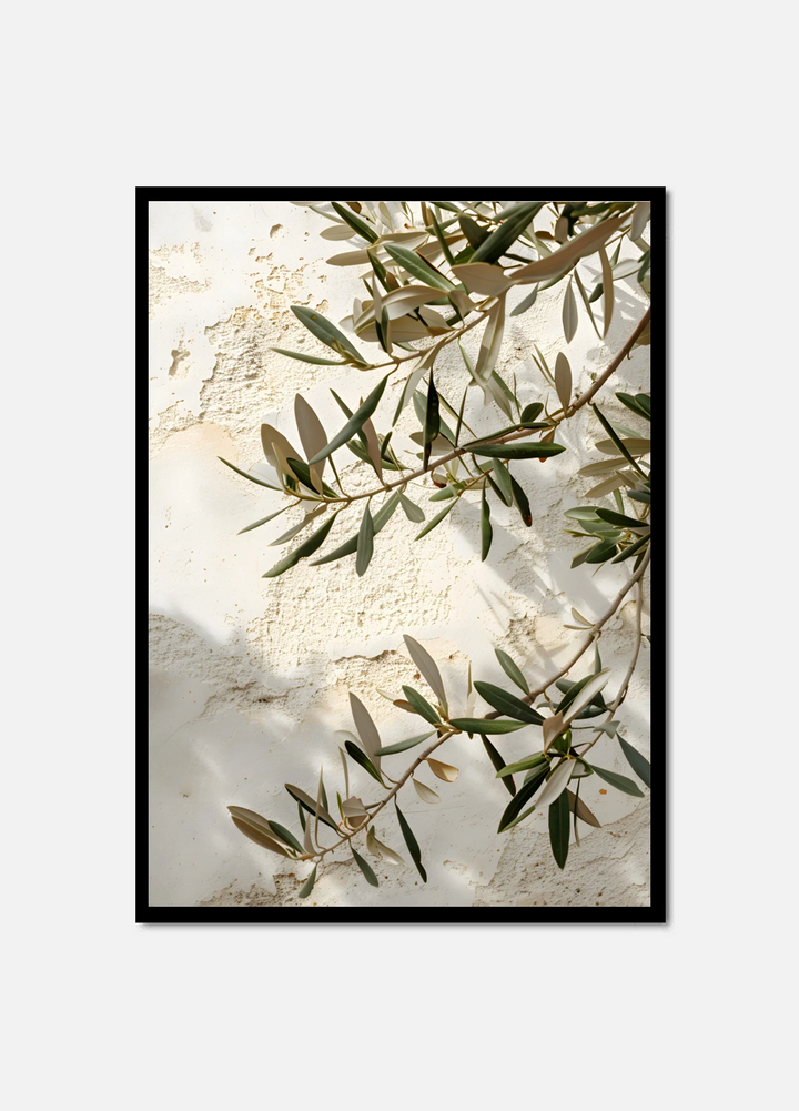 Branches of Peace