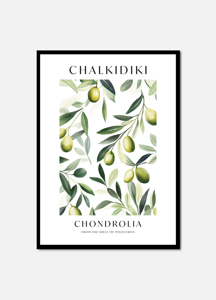 Chalkidiki Olive Branch