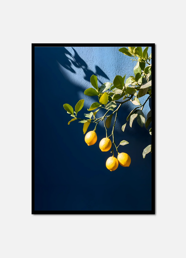 Citrus Charm