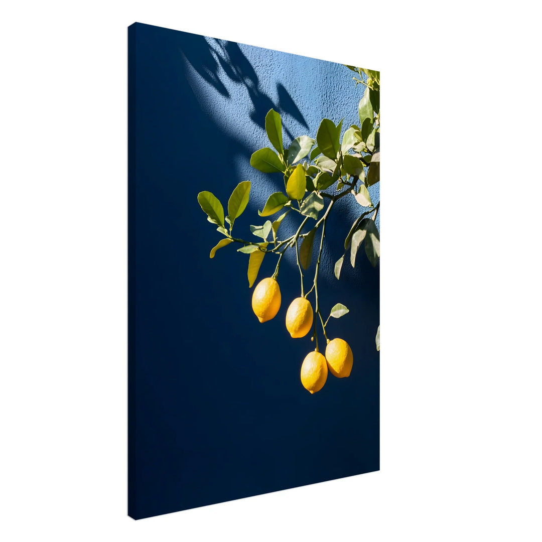 Citrus Charm