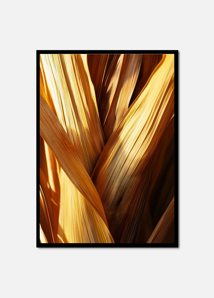Desert Fragments