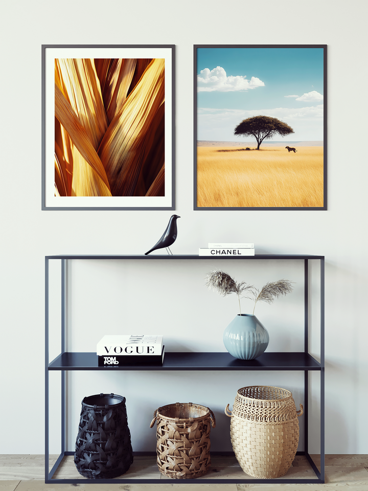 Desert Fragments