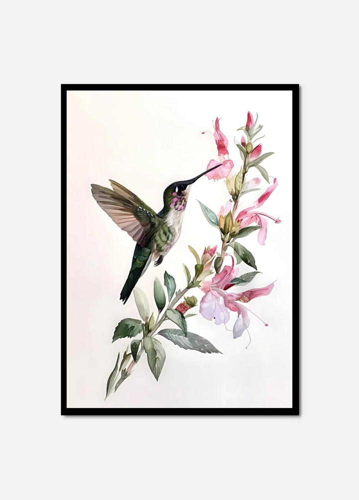 Gentle Hummingbird