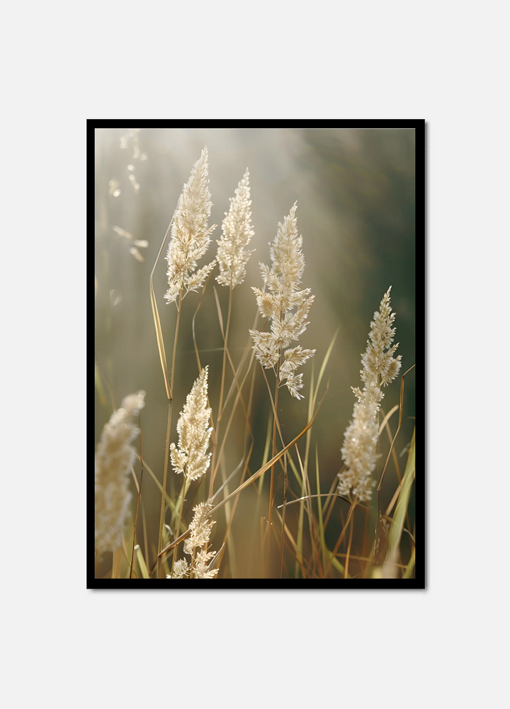 Golden Light