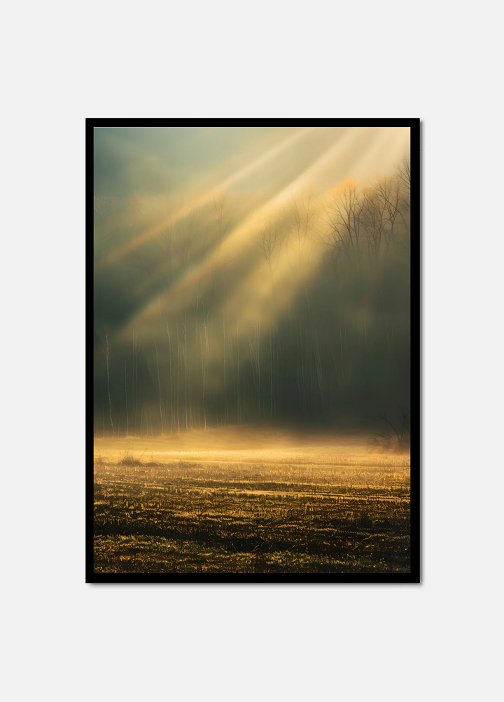 Golden Rays