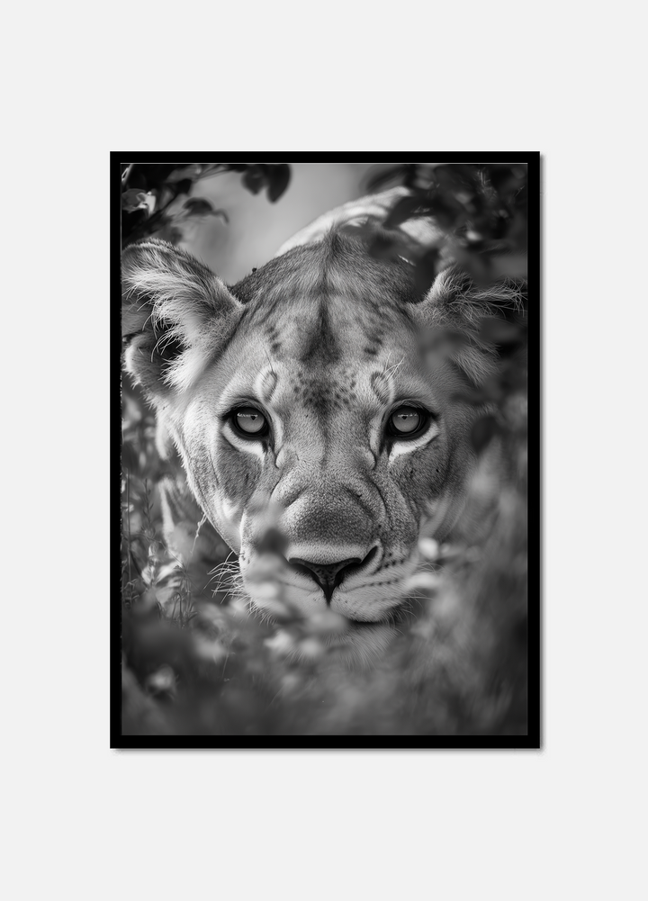 Guardian of the Wild