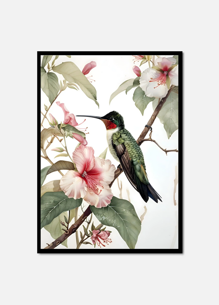 Hummingbird Harmony