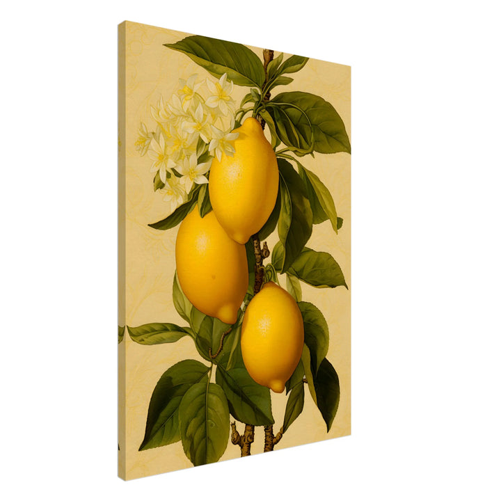 Juicy Lemon