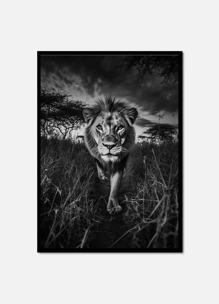 King of the Savannah