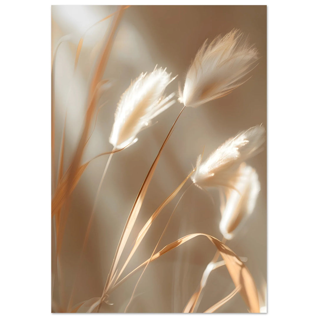 Light Harmony