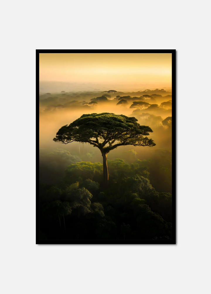 Rainforest Spirit