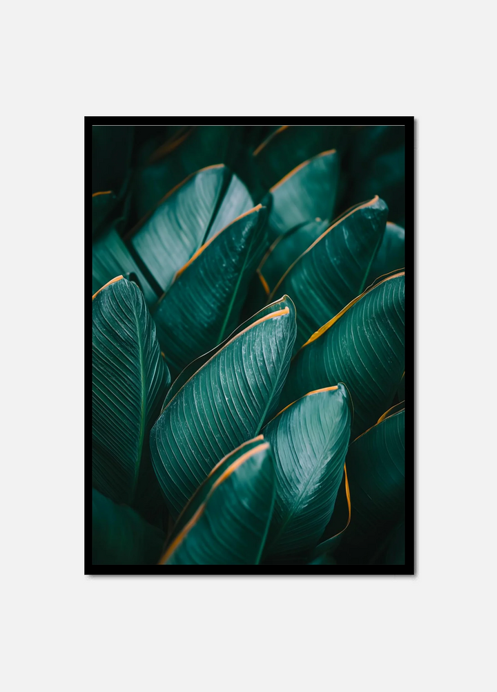 Tropical Vein Dance