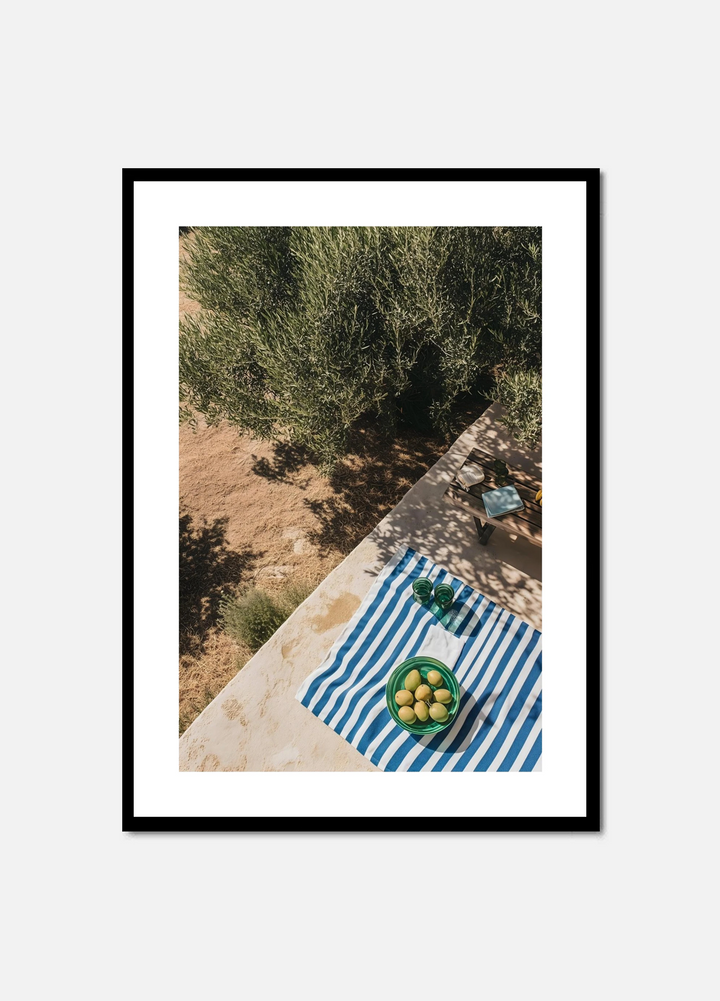 Under the Olive Trees