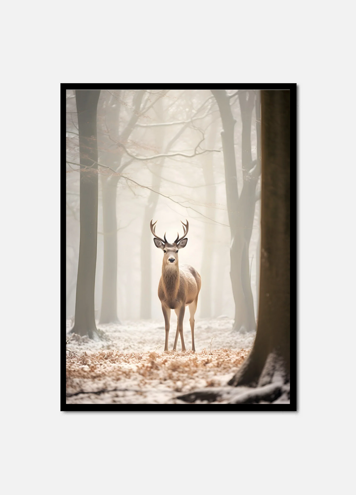 Winter Dear