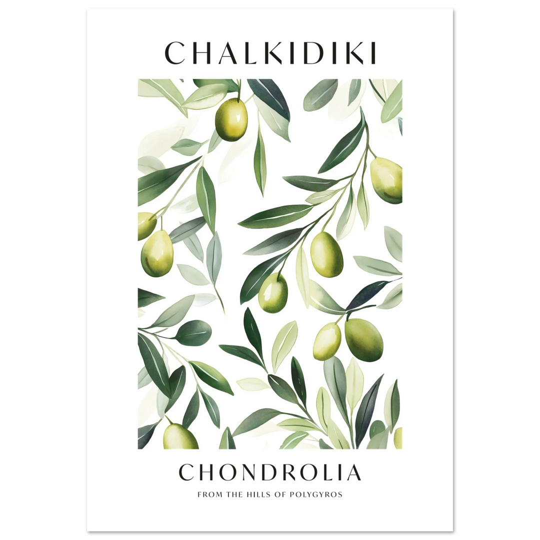 Chalkidiki Olive Branch