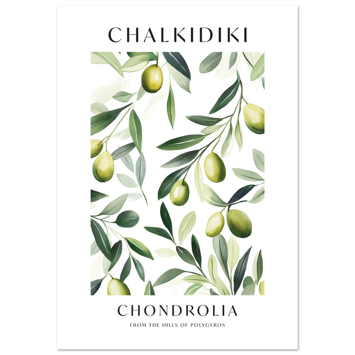 Chalkidiki Olive Branch