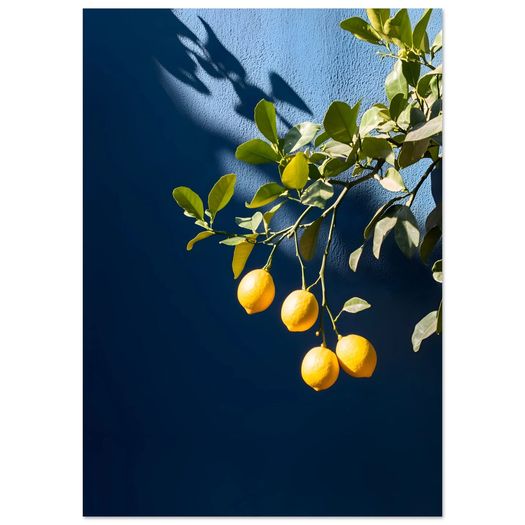 Citrus Charm