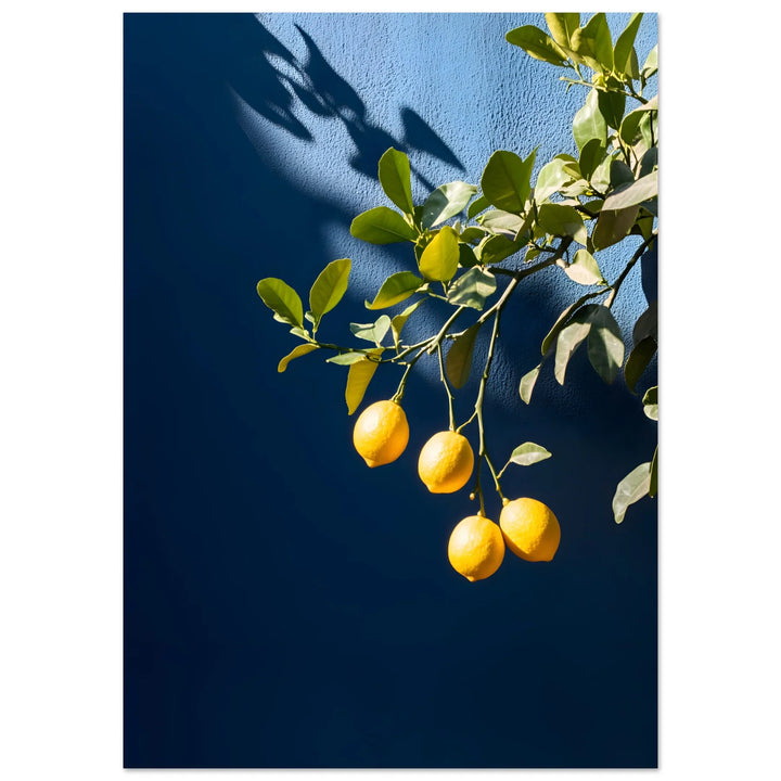 Citrus Charm