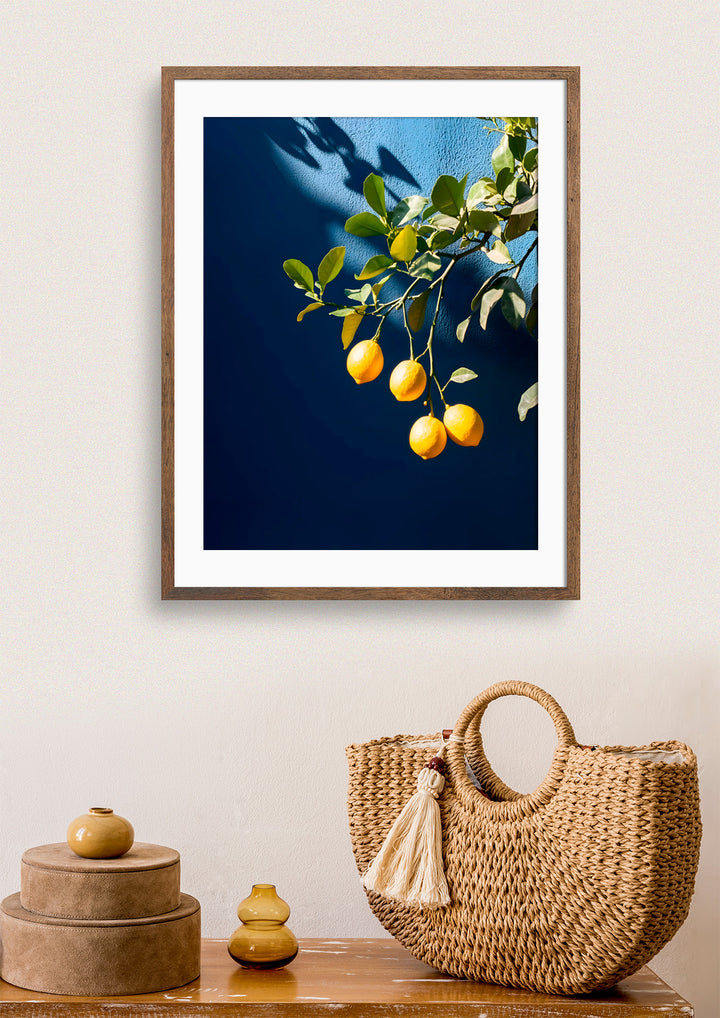 Citrus Charm