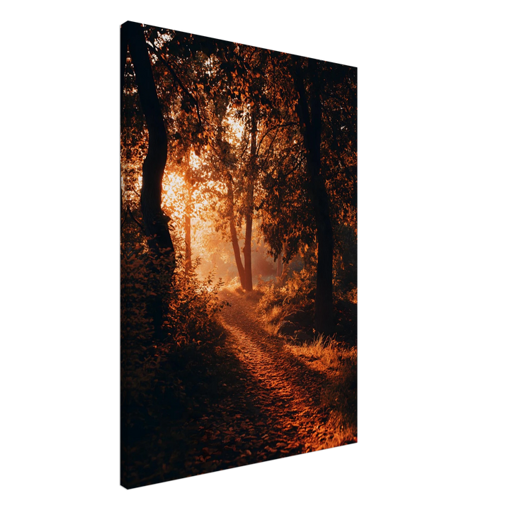 f159c1c2-a406-4e58-87c8-26db92de2fa3