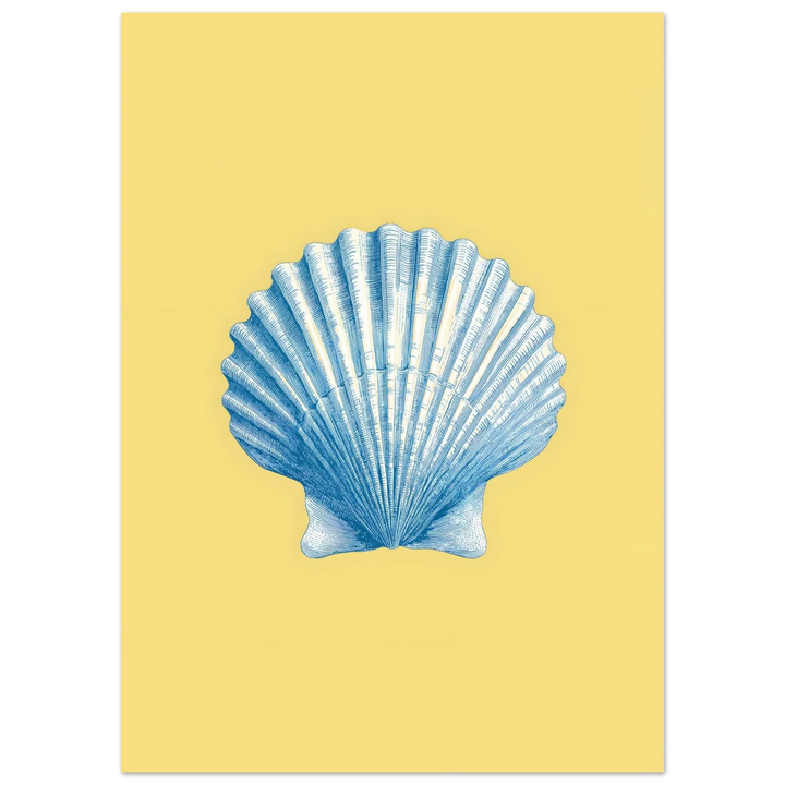 Scallop Odyssey