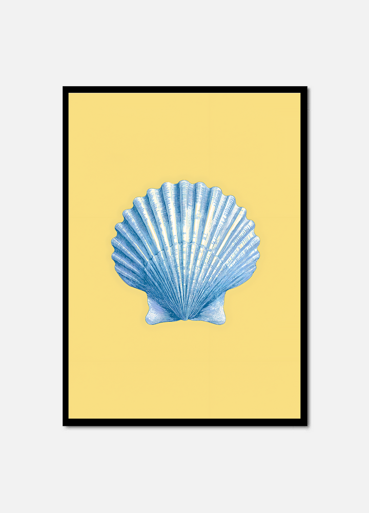 Scallop Odyssey
